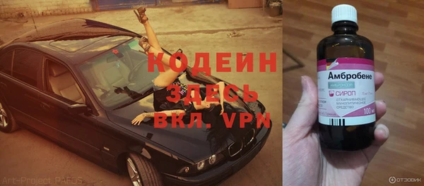 мдпв Богданович