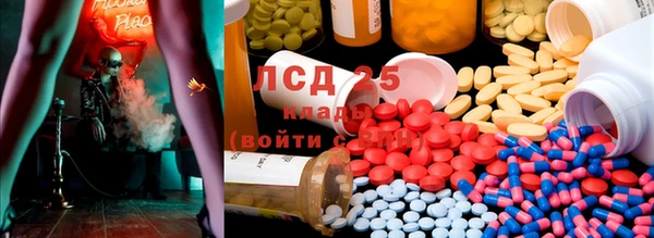 мдпв Богданович