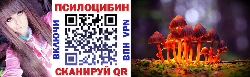 Галлюциногенные грибы GOLDEN TEACHER  Купить  Гуково 